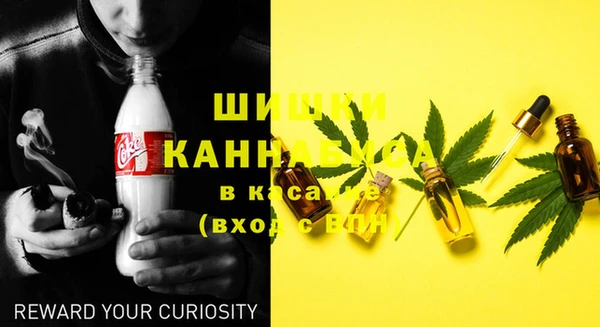 спиды Михайлов