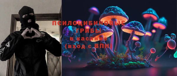 apvp Михайловск