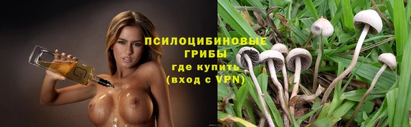 apvp Михайловск