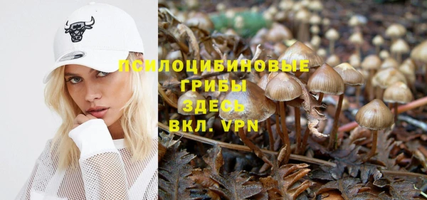 apvp Михайловск