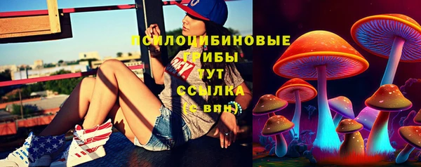 apvp Михайловск