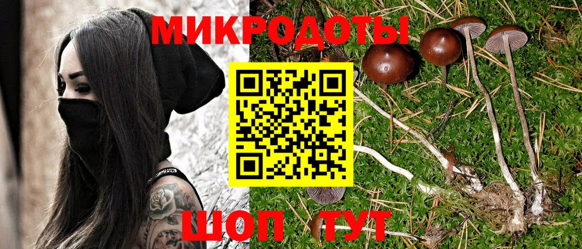 Псилоцибиновые грибы GOLDEN TEACHER  Вход с VPN  Шахты 