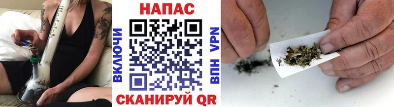 Конопля сатива  Шахты 